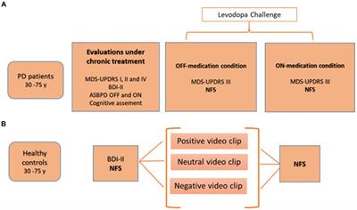 Fluctuations in Parkinson’s disease and personalized medicine: bridging the gap with the neuropsychiatric fluctuation scale